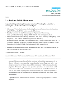 Lectins from Edible Mushrooms