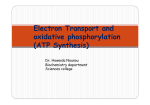 Electron Transport and oxidative phosphorylation (ATP Synthesis)