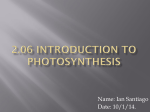 2.06 Introduction to Photosynthesis