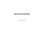 Sound and Ear Power Point