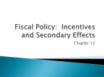 Fiscal Policy: Incentives and Secondary Effects