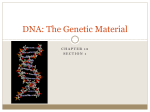 DNA: The Genetic Material - Biology-RHS