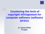 40293_Software piracy