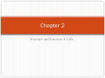 Chapter 2 - loyolaunit1biology