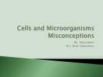 Cells and Microorganisms Misconceptions
