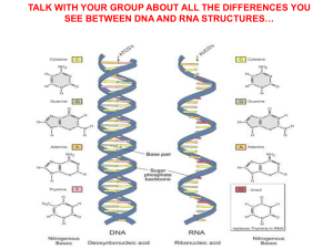 DNA versus RNA Notes File