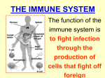 the immune system