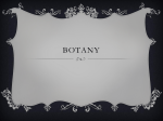 Botany