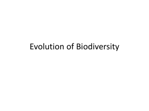 Evolution of Biodiversity