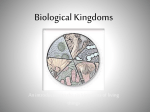 Biological Kingdoms