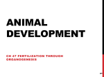 Animal Development - Taylor County Schools