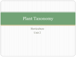 Plant Taxonomy: How Plants are Named