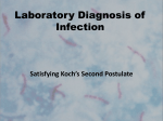 Laboratory Diagnosis of Infection - Wikispaces
