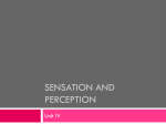 Sensation and Perception