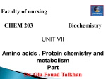 aminoacids 2