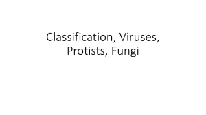 Classification, Viruses, Protists, Fungi