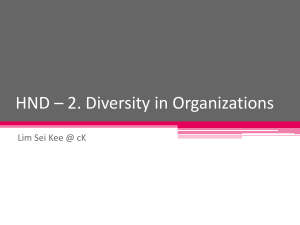 HND * 2. Diversity in Organizations