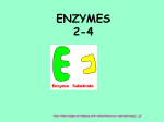 Enzymes are