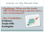 Activity 72: The Miracle Fish