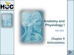 Chapter_09_Articulations.ppt
