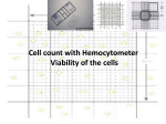 Cell count with Hemocytometer Viability of the cells