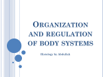 Organization and regulation of body systems