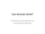 Can Animals think?