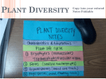 Plant Diversity Or: Why plants are cooler than you think