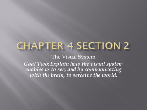Chapter 4 Section 2