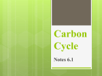 2016-2017 Carbon Cycle notes ppt