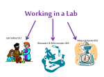 Working in a Lab