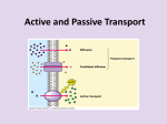 Active and Passive Transport