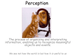 Perception PPT
