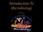 Introduction To Microbiology