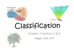 Classification