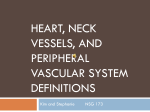 Heart, Neck Vessels, and Peripheral Vascular System Definitions