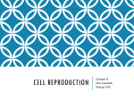 Cell Reproduction