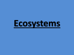 What is an ecosystem?