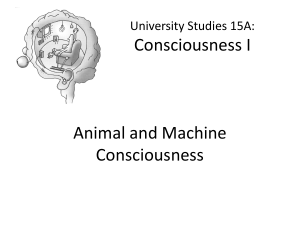 Animal and Machine Consciousness
