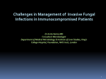 Challenges in Management of Invasive Fungal Infections