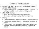 Meiosis Yarn Activity - Christopher-Bio6