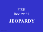 Fish Jeopardy #1