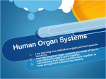 Human Organ Systems