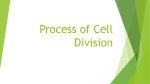 Process of Cell Division