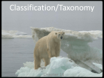 taxonomy part 1