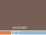 Microbes - msetclass