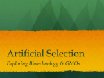 GMOs - CIA-Biology-2011-2012