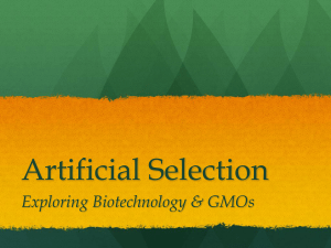 GMOs - CIA-Biology-2011-2012
