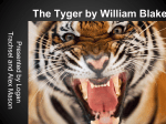 The Tyger by William Blake