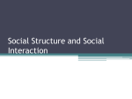 Social Structure and Social Interaction